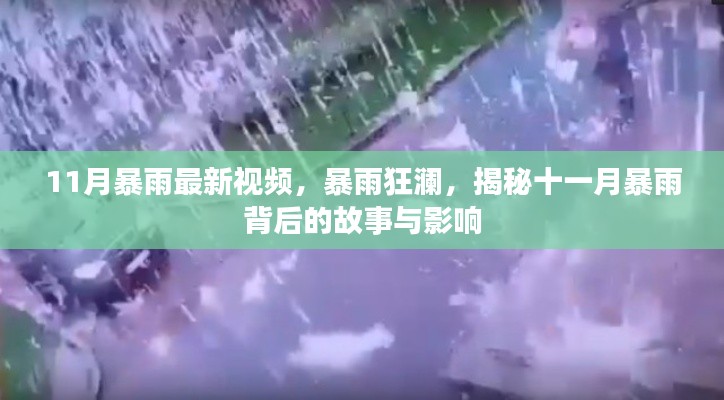 揭秘十一月暴雨背后的故事與影響，暴雨狂瀾最新視頻報(bào)道