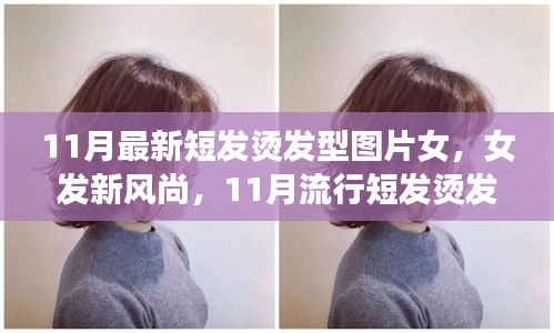 11月流行女發(fā)短燙發(fā)，全新風(fēng)尚與全攻略圖片欣賞