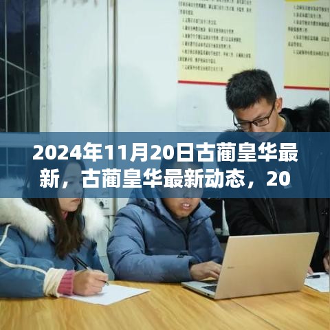 古藺皇華最新動態(tài)深度解析，2024年11月20日報(bào)告