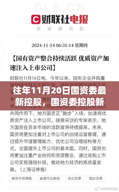 揭秘，國資委控股新紀(jì)元背后的重磅事件與影響，歷年11月20日的回顧與展望