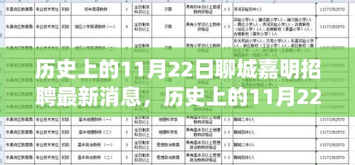 歷史上的11月22日聊城嘉明招聘最新消息深度解析及觀點闡述