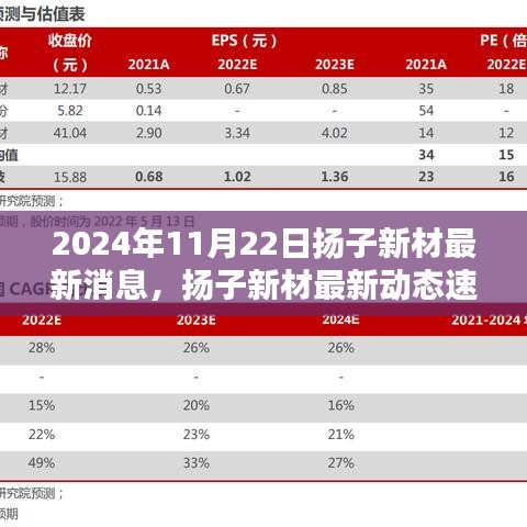 2024年11月22日揚子新材最新消息，揚子新材最新動態(tài)速遞，2024年11月22日的三大看點