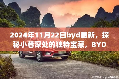 探秘小巷深處的獨(dú)特寶藏，BYD最新隱藏版特色小店揭秘（2024年11月22日）