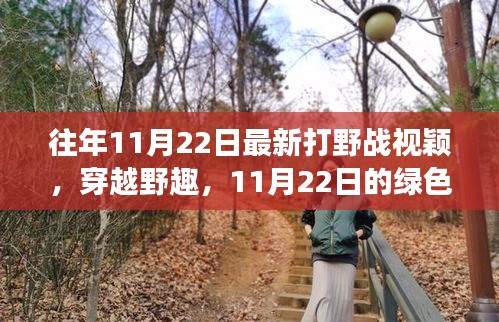 往年11月22日最新打野戰(zhàn)視穎，穿越野趣，11月22日的綠色冒險之旅，尋找內心的寧靜與平和