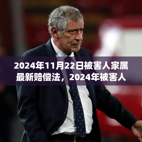 深度解讀2024年被害人家屬賠償法，背景、進(jìn)展與影響