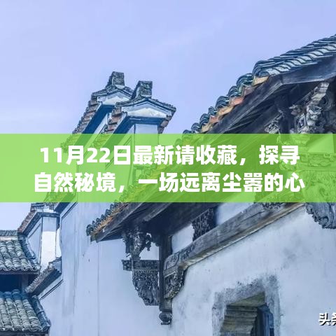 11月22日探尋自然秘境之旅，心靈啟程，珍藏美好瞬間