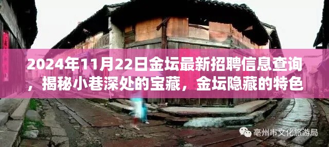 揭秘金壇隱藏特色小店與最新招聘信息奇遇記，2024年11月22日金壇招聘信息深度查詢