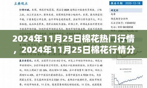 棉花行情深度解析，從入門到精通——2024年11月25日棉花行情指南