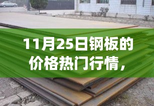 11月25日鋼板價(jià)格行情深度解析，市場波動與多方觀點(diǎn)透視