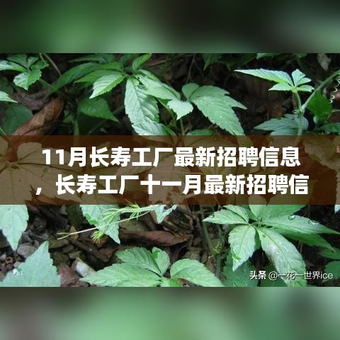 沒精打采 第15頁