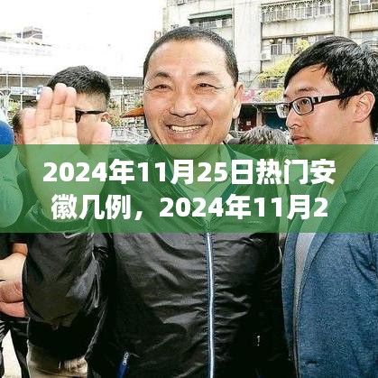 2024年11月25日安徽疫情最新熱點(diǎn)解讀，病例數(shù)量及防控措施