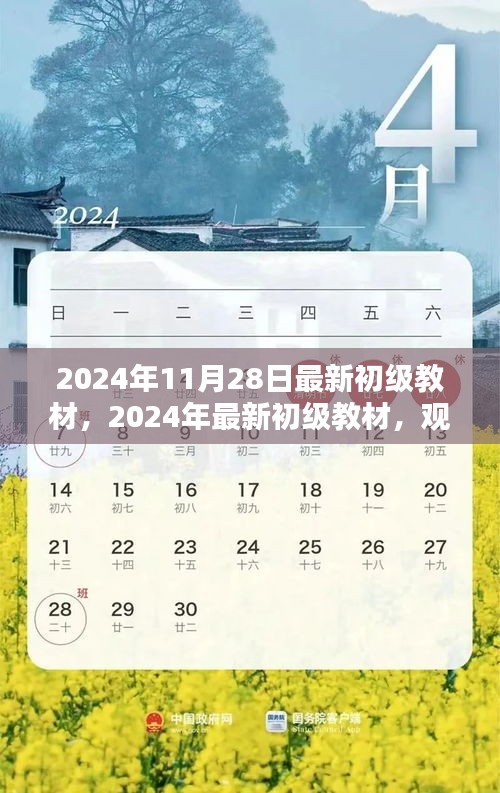 觀點闡述與深度分析，最新初級教材深度解讀（2024年最新版）