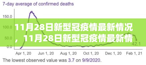 全面評測與深度解析，11月28日新冠疫情最新情況