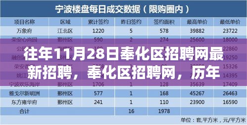 歷年11月28日奉化區(qū)招聘網(wǎng)人才盛宴深度回顧與最新招聘信息匯總