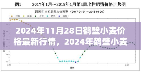 2024年鶴壁小麥價(jià)格最新行情及市場走勢分析，影響因素探討