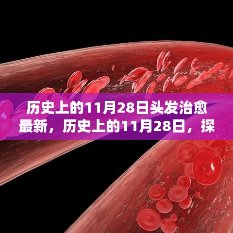 歷史上的11月28日，探尋頭發(fā)治愈的最新篇章??