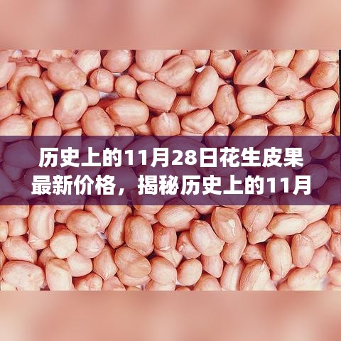 全方位解析，歷史上的11月28日花生皮果最新價(jià)格獲取與解讀步驟指南