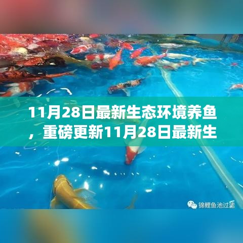 揭秘最新生態(tài)環(huán)境養(yǎng)魚秘籍，打造生態(tài)魚池新境界！