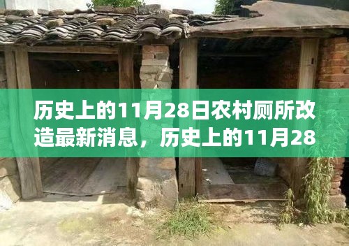 歷史上的11月28日，農(nóng)村廁所改造背后的勵志故事與變革力量最新消息