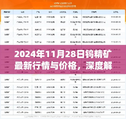 深度解析，2024年11月28日鎢精礦最新行情與價格展望