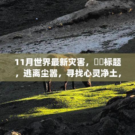 十一月探險之旅，災(zāi)難邊緣的求生與心靈凈土的追尋