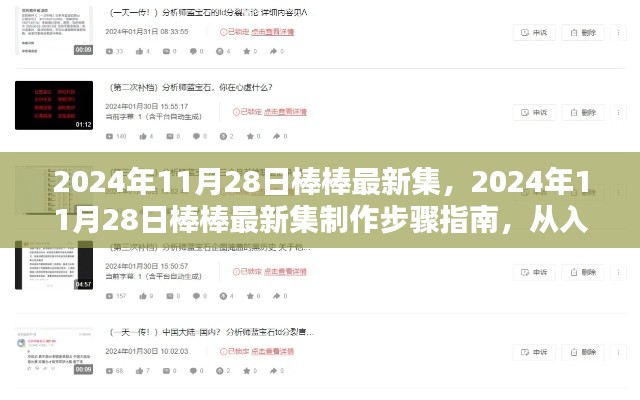 2024年11月28日棒棒最新集制作指南，從入門到精通