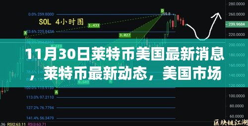 萊特幣美國最新動態(tài)分析，市場趨勢下的正反觀點探討（11月30日）