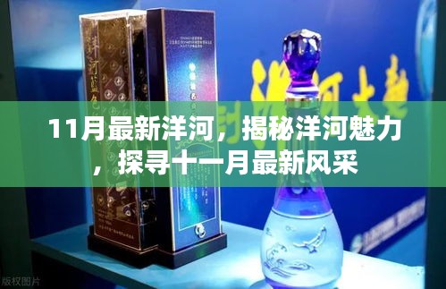 揭秘洋河魅力，十一月最新風(fēng)采展示