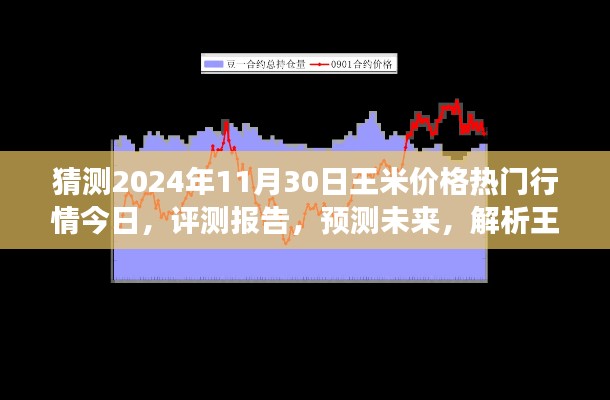 獨(dú)家解析，王米價(jià)格行情預(yù)測至2024年11月30日，今日熱門行情與未來展望評(píng)測報(bào)告