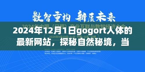 探秘gogort人體奧秘，心靈遇見奇妙旅程的秘境網(wǎng)站（最新更新）