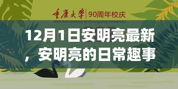 安明亮日常趣事，溫馨時光回顧，12月1日的精彩瞬間