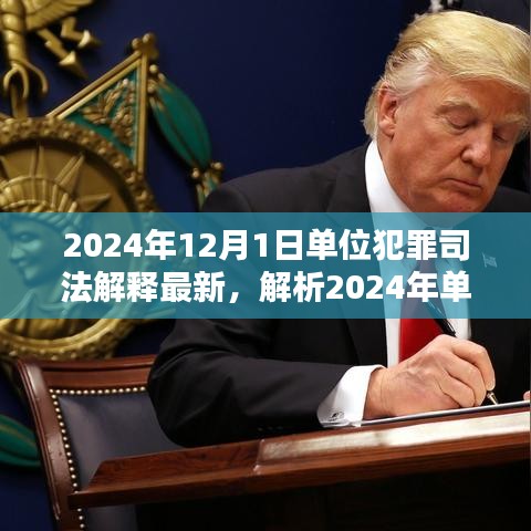 深度解析，2024年單位犯罪司法解釋最新動態(tài)及三大要點探討