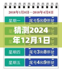 上海未來限行猜想，高架暢想曲與暖心故事，展望2024年12月的新規(guī)定