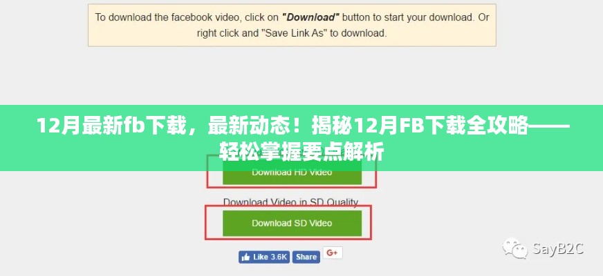 揭秘，最新動態(tài)下的FB下載全攻略，輕松掌握要點解析