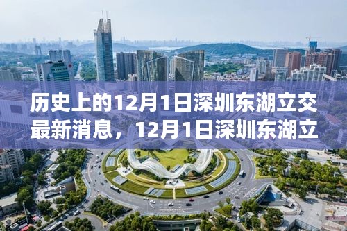 深圳東湖立交新進(jìn)展，自然美景的心靈之旅啟程日紀(jì)念報道