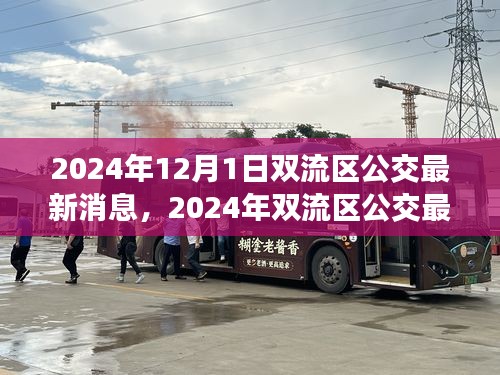 2024年雙流區(qū)公交最新消息詳解，獲取與使用公交服務(wù)的全面指南