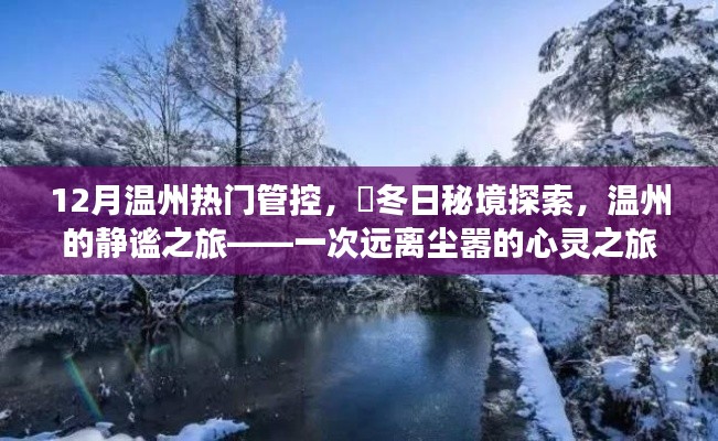 溫州冬季秘境探索，靜謐之旅的心靈之旅，12月熱門管控下的冬日秘境體驗