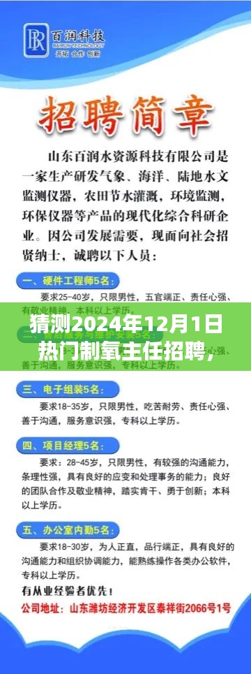 把握未來，挑戰(zhàn)熱門制氧主任崗位，2024年招聘展望與自我超越之路