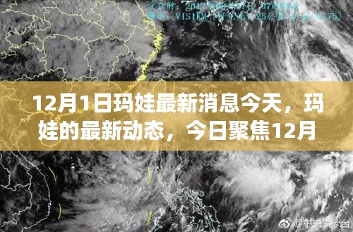 聚焦今日，瑪娃最新動態(tài) 12月1日消息