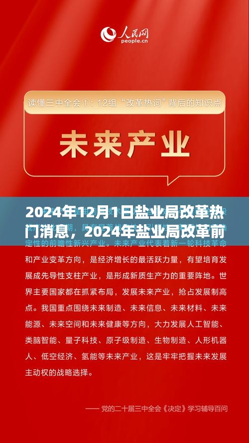 鹽業(yè)局改革前沿動態(tài)，創(chuàng)新策略與未來展望（2024年鹽業(yè)局改革熱門消息）