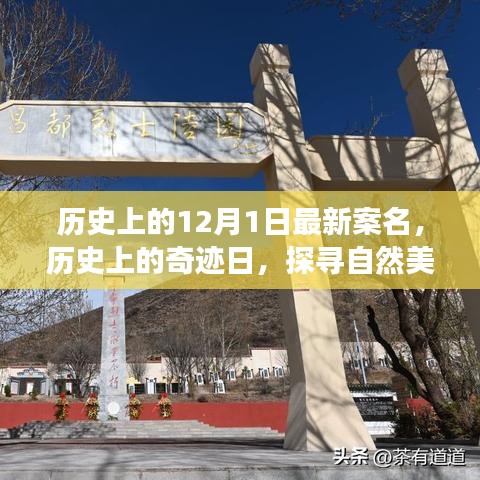 探尋奇跡日，歷史上的自然美景之旅與寧靜革命之路的探尋