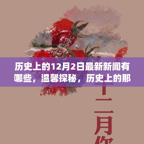 溫馨探秘，歷史上的十二月二日最新新聞與日常小故事回顧