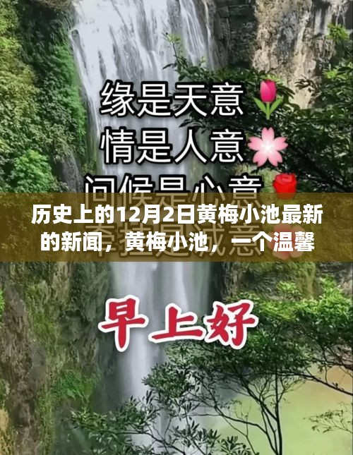 黃梅小池，溫馨日常與愛的紐帶——?dú)v史上的今天新聞回顧，12月2日的愛與陪伴故事