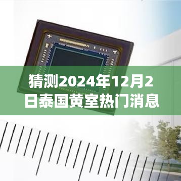 泰國黃室風云揭秘，學習變革與夢想實現(xiàn)，2024年12月2日的輝煌展望