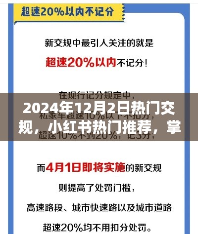 2024年交規(guī)新動態(tài)與熱門推薦，小紅書指南助你出行必備