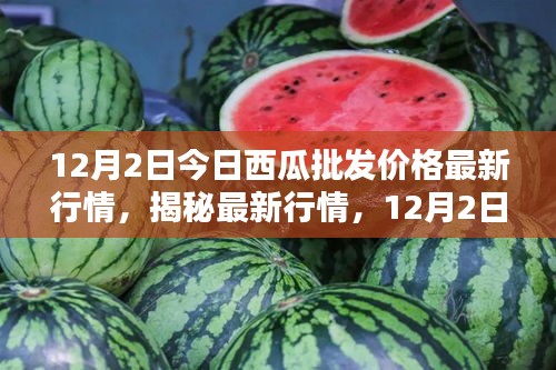 揭秘最新行情，深度解析12月2日西瓜批發(fā)價(jià)格走勢及最新行情