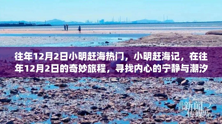 小明趕海記，尋找潮汐之聲與內(nèi)心的寧?kù)o之旅