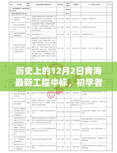 歷史上的12月2日青海最新工程中標(biāo)，初學(xué)者與進(jìn)階用戶(hù)的全程指南