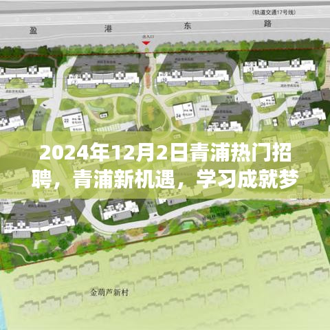 2024年12月2日青浦熱門招聘啟幕，新機(jī)遇助力學(xué)習(xí)成就夢(mèng)想