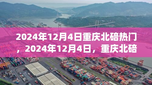 2024年12月4日重慶北碚之旅，探尋自然美景，重拾心靈寧?kù)o